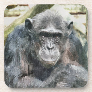 PORTA-COPO CHIMPANZÉS BONITOS