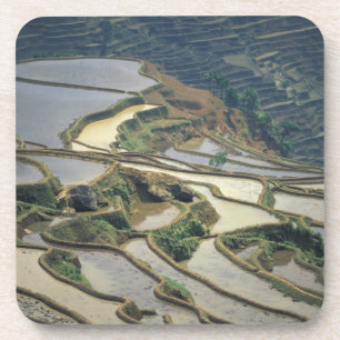 Porta-copo China, Província de Yunnan. Terraços de arroz inun