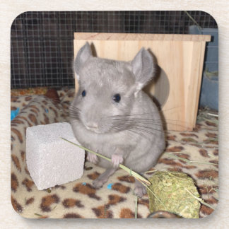 Porta-copo Chinchilla