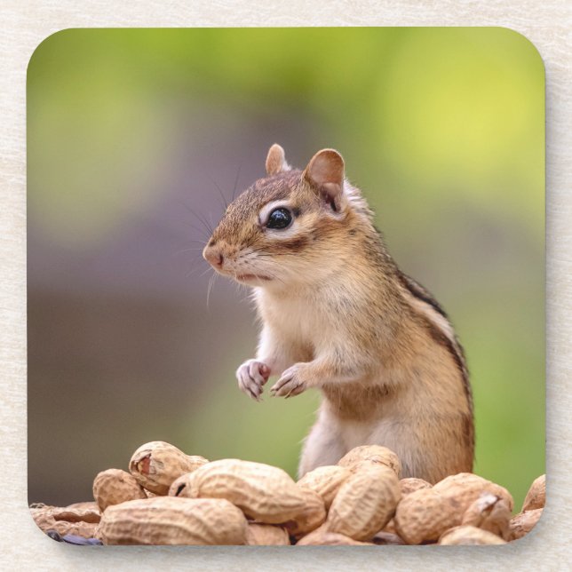 Porta-copo Chipmunk com amendoins (Frente)