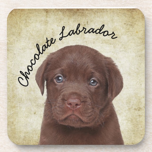 Porta-copo Chocolate Labrador (Frente)