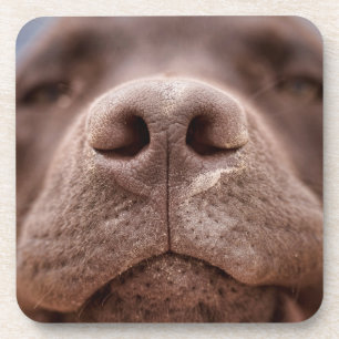 Porta-copo Chocolate Labrador Nose Closeup