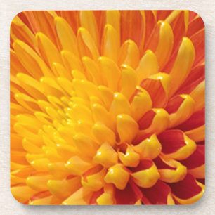 Porta-copo Chrysanthemum Amarelo e Laranja