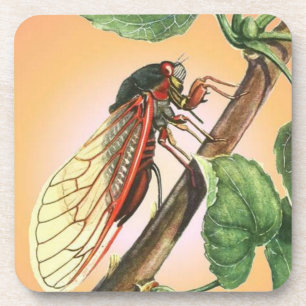 Porta-copo Cicada