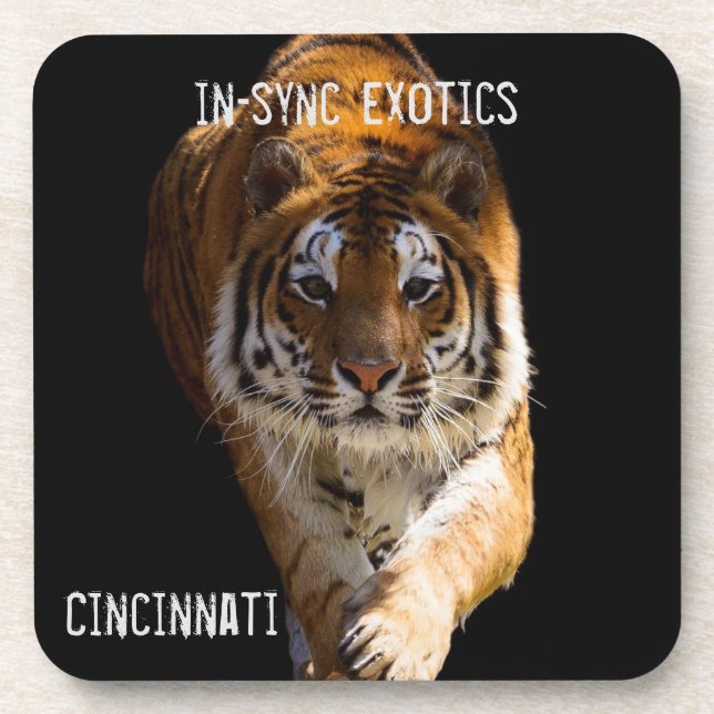 Porta-copo Cincinnati Tiger - (Frente)