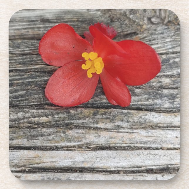 Porta-copo Cinza Com Flor Vermelho (Frente)