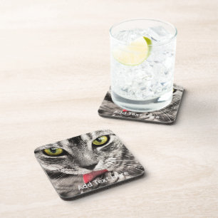 Porta-copo Cinza de gato com olho amarelo