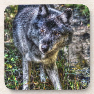 Porta-copo Cinza Wolf & Wilderness