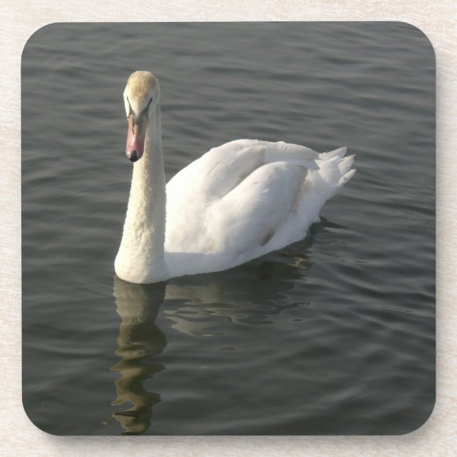 Porta-copo Cisne (Frente)