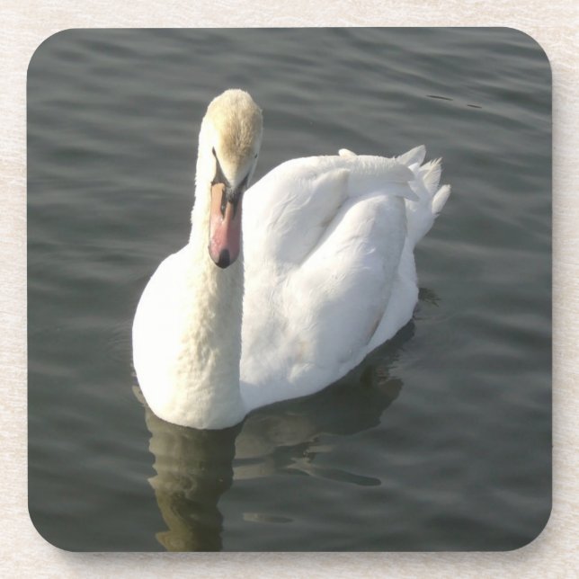 Porta-copo Cisne (Frente)