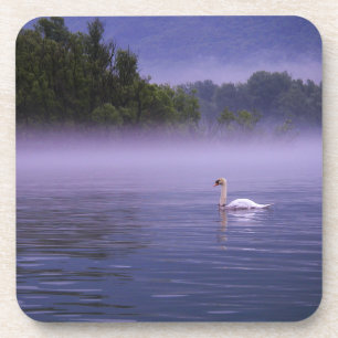 Porta-copo Cisne no lago