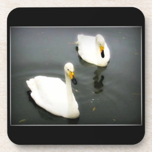 Porta-copo Cisnes brancas, água preta