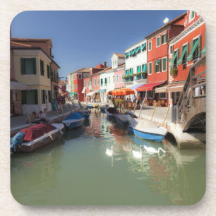 Porta-copo Cisnes em canal, Burano Island, Veneza, Itália