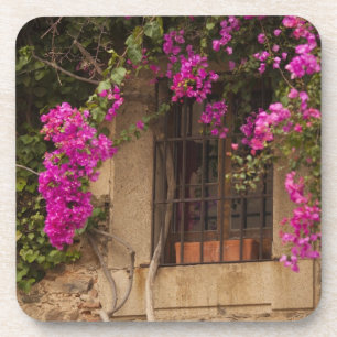 Porta-copo Ciudad Monumental, edifícios cobertos de flores