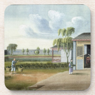 Porta-copo Classificando o chá (w/c no papel)