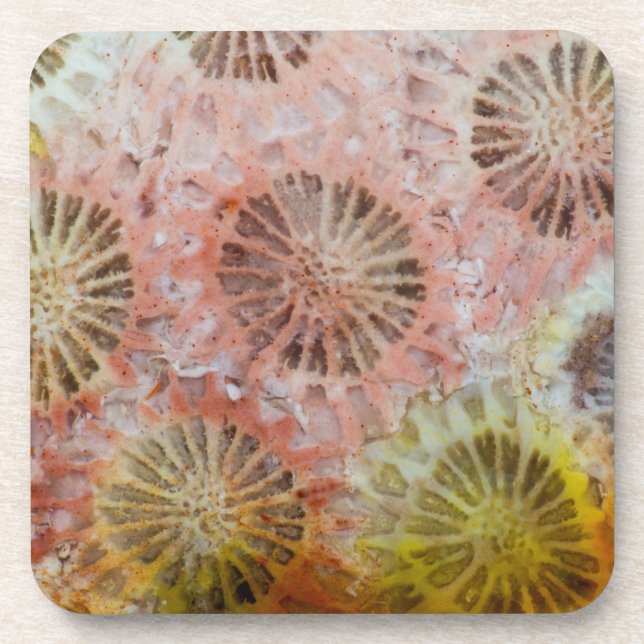 Porta-copo Close de Coral Rosa (Frente)