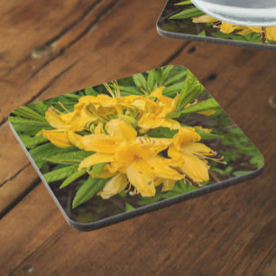 Porta-copo Coaster Amarelo De Bebidas Florais De Azalea