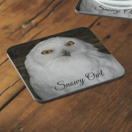 Porta-copo Coaster de Bebidas Fotográficas White Snowy Owl