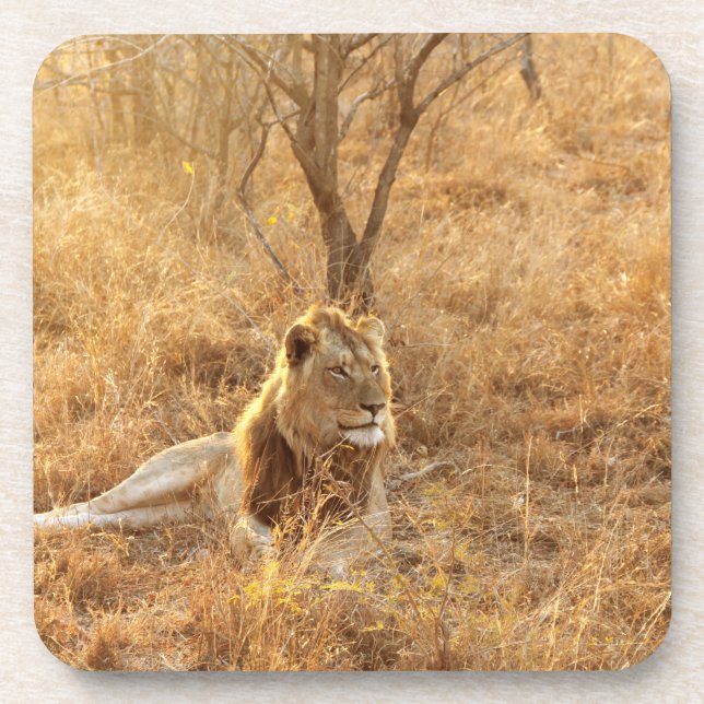 Porta-copo Coaster De Bebidas Lion (Frente)
