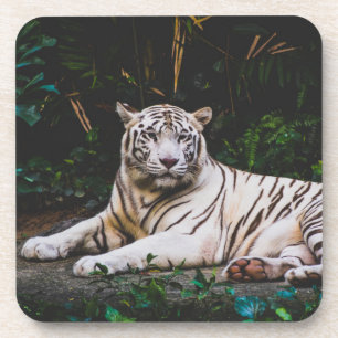 Porta-copo Coaster De Bebidas Tiger