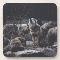 Coaster De Bebidas Wolf Pack