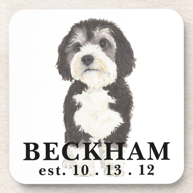 Porta-copo Coaster personalizado da bebida de Bernedoodle (Frente)