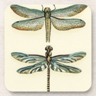 Porta-copo Coleção de Dragonfly por Chariklia Zarris