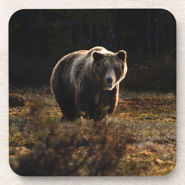 Porta-copo Coletor de Bebidas (Frente)