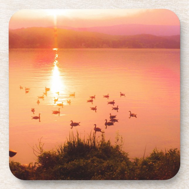 Porta-copo Coletor solar rosa e pêssego (Frente)