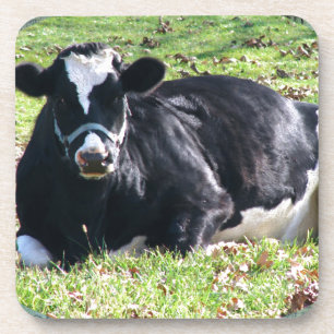 Porta-copo Colheita De Vacas Láteas Verde Postos De Volta