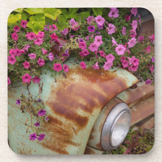 Porta-copo Columbia Falls (Frente)