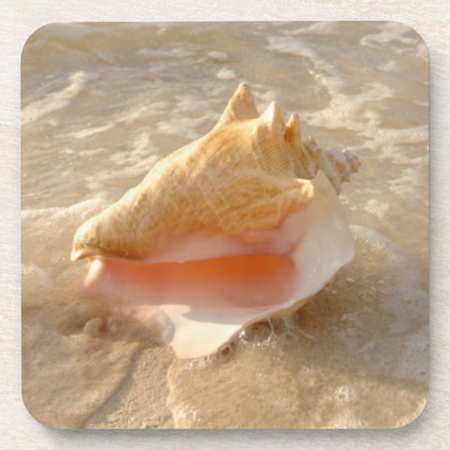 Porta-copo Conch Shell na areia na praia tropical (Frente)