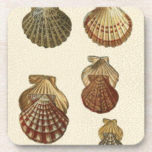 Porta-copo Conchas Antiguas Empilhadas