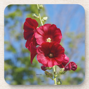 Porta-copo Conjunto de hollyhocks de 6 portas copos de plást