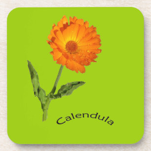 Porta-copo Conjunto de portas copos - Calendário