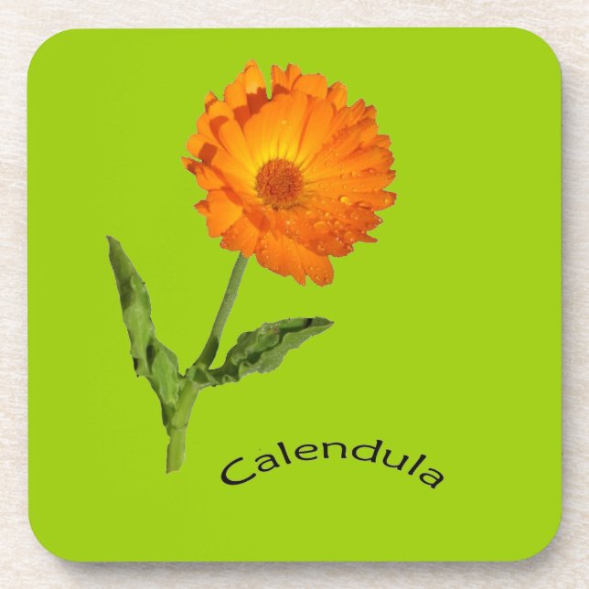 Porta-copo Conjunto de portas copos - Calendário (Frente)