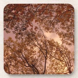 Porta-copo Conjunto de Portas copos de Cork 'Abstrato de outo