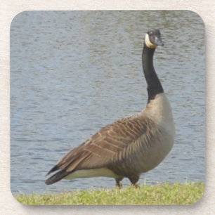 Porta-copo Conjunto de Portas copos Goose By Pond
