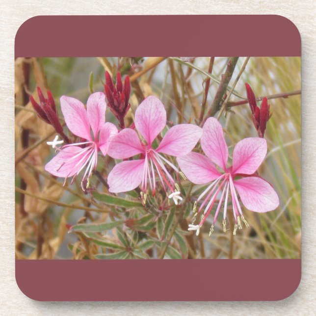 Porta-copo Conjunto de portas copos - Guara Rosa (Frente)