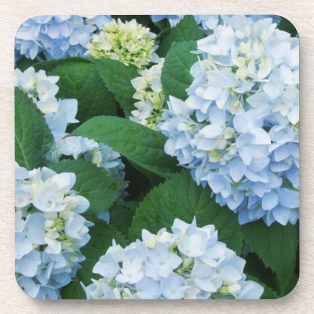 Porta-copo Conjunto de Portas copos Hydrangea (Frente)