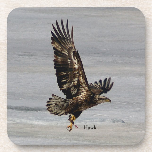 Porta-copo Conjunto Hawk de 6 portas copos de plástico duro (Frente)