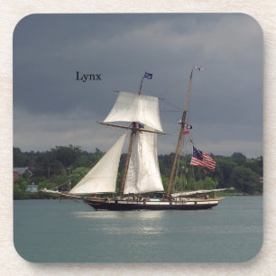 Porta-copo Conjunto Lynx de 6 portas copos plásticas de duro