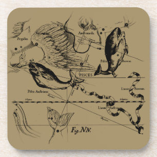 Porta-copo Constelação de peixes Hevelius 1690 Decor