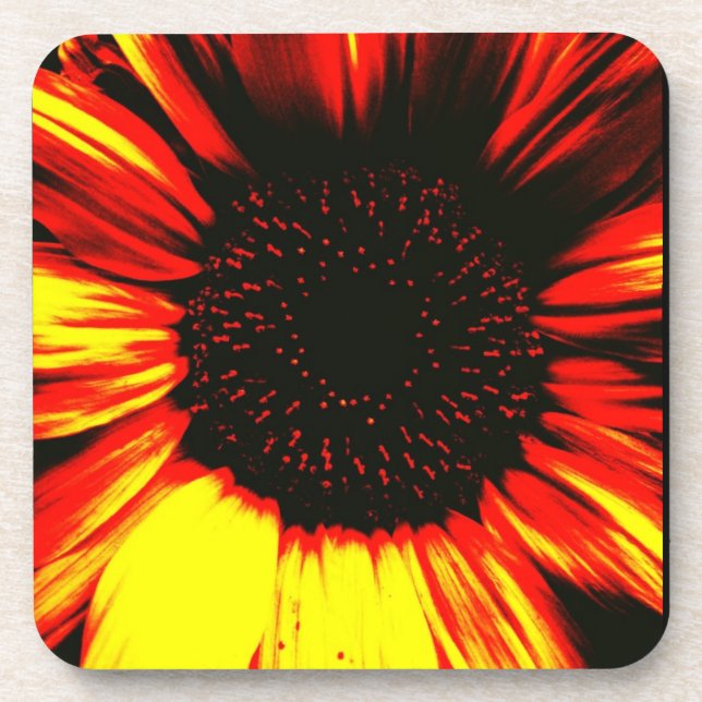 Porta-copo contemporary large sunflower seed head and petals (Frente)