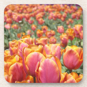 Porta-copo Copo de Cortiça de Tulipa de Primavera Tulipas Ros
