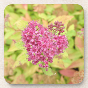 Porta-copo Coração Flor Natural - perfurado pela flecha.