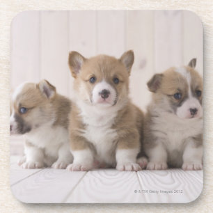 Porta-copo Corgi de três Galês