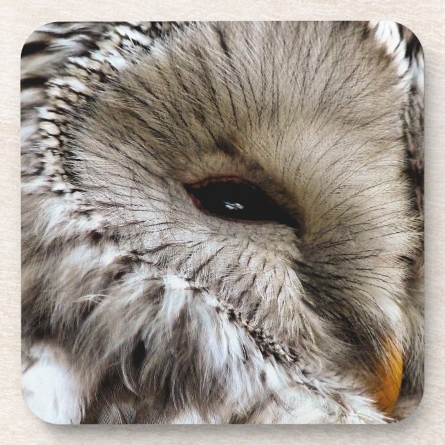 PORTA-COPO CORUJA (Frente)