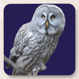 Porta-copo Coruja de Cinzas excelentes