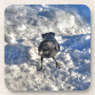 Porta-copo Corvo Negro em Foto de Neve